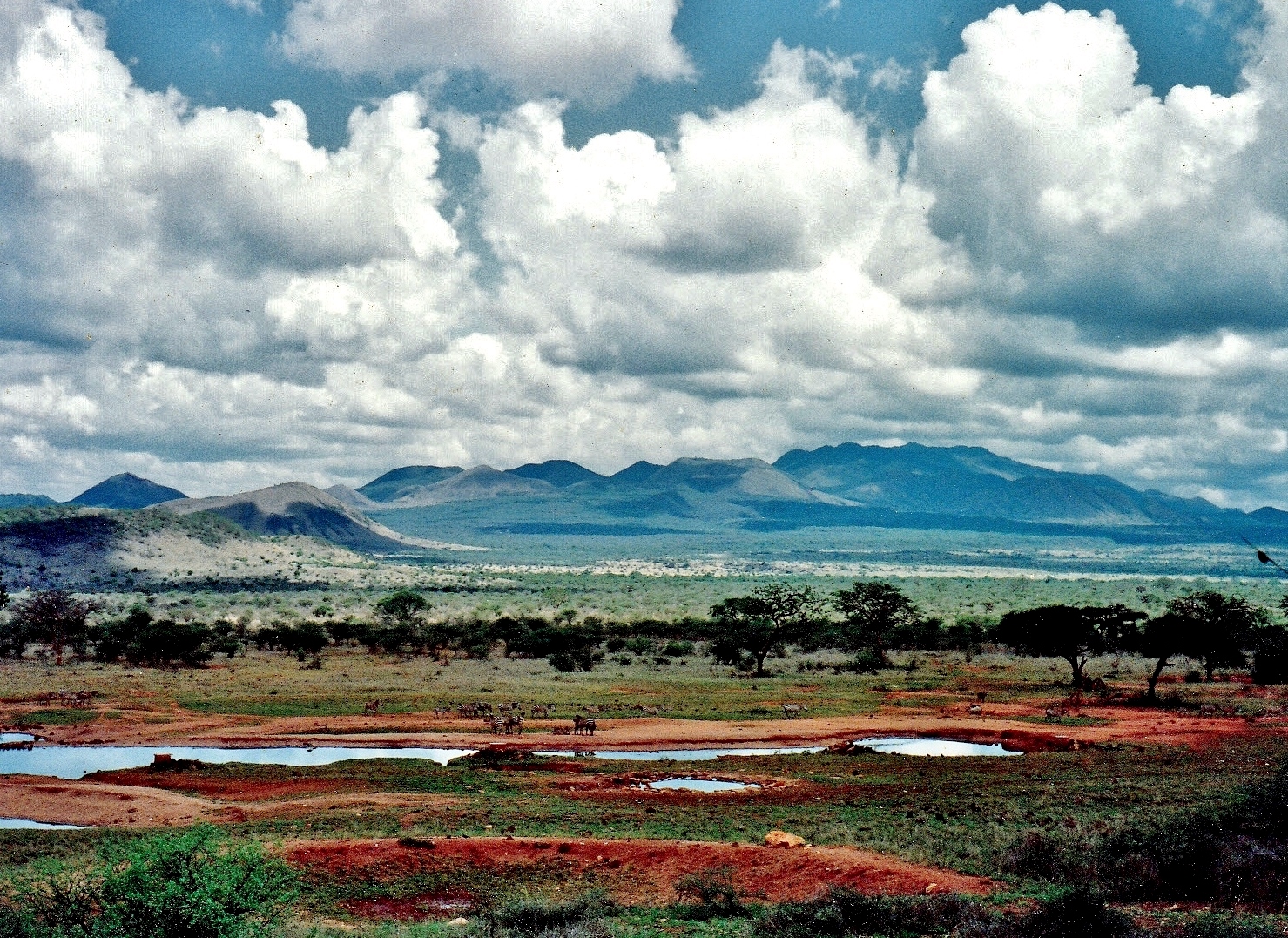 Tsavo West National Park (Photo: tishfarrell.com)
