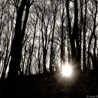 The Day The Sun Fell Into Henllys Woods And Other Light Shows
